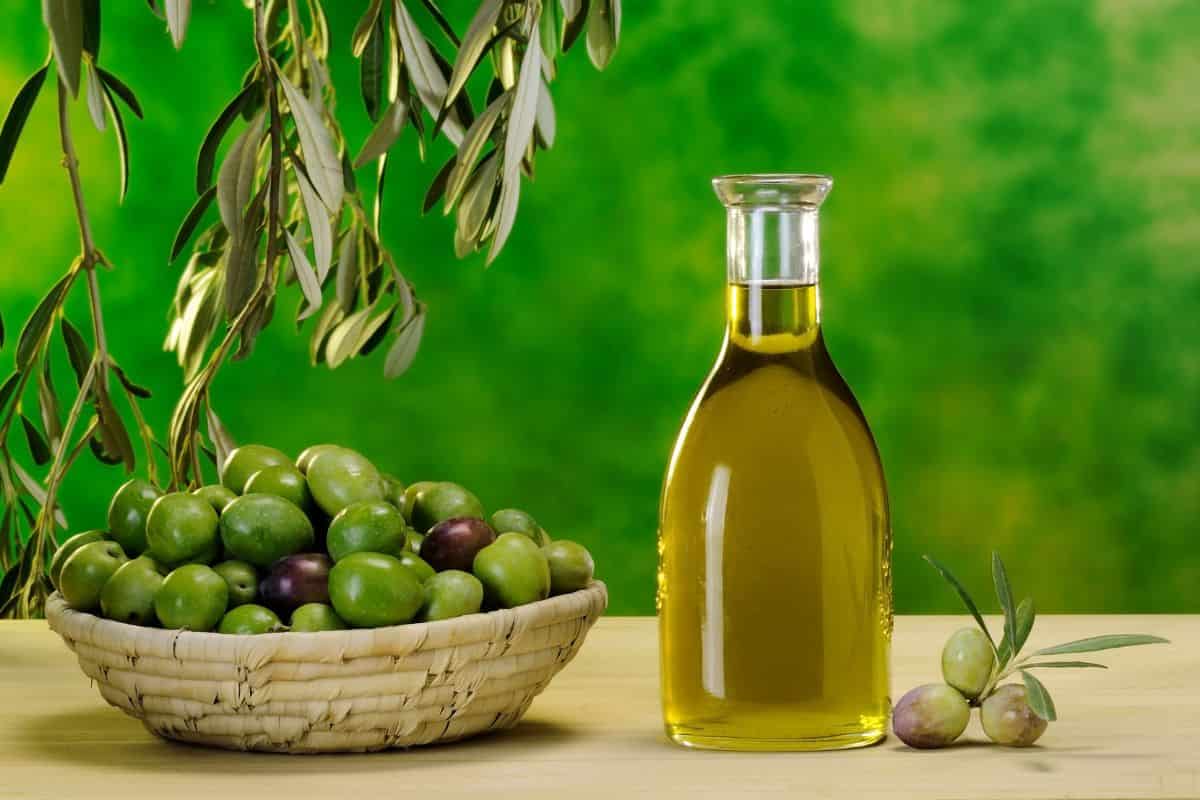 bottiglia olio, con cestino con olive verdi