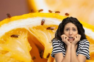limone con moscerini e donna spaventata
