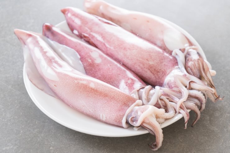 calamari