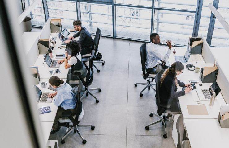 un gruppo di persone che lavorano